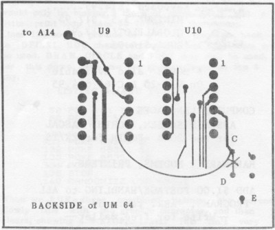 BACKSIDE of UM 64