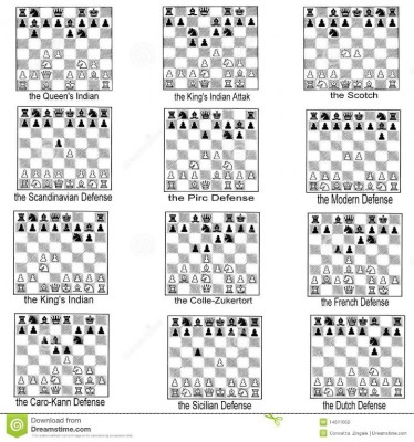 collection-chess-openings-14511052.jpg
